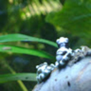 Meet your Posher, Michaela